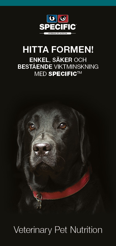 Viktkontroll hos hund